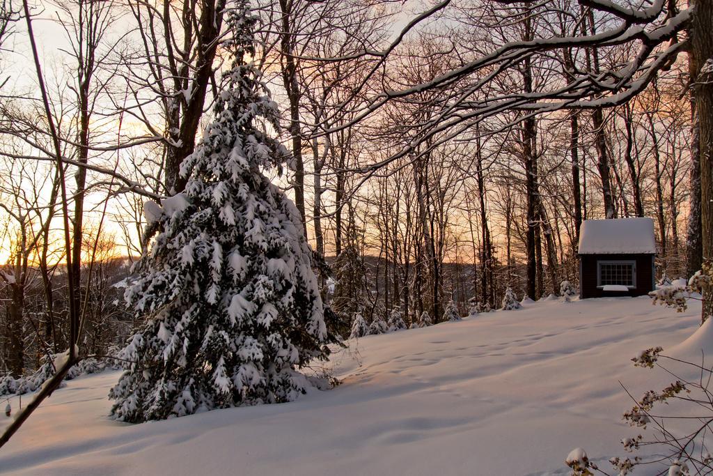 Le Petit Clocher Gite Touristique B & B Saint-Sauveur Exterior photo