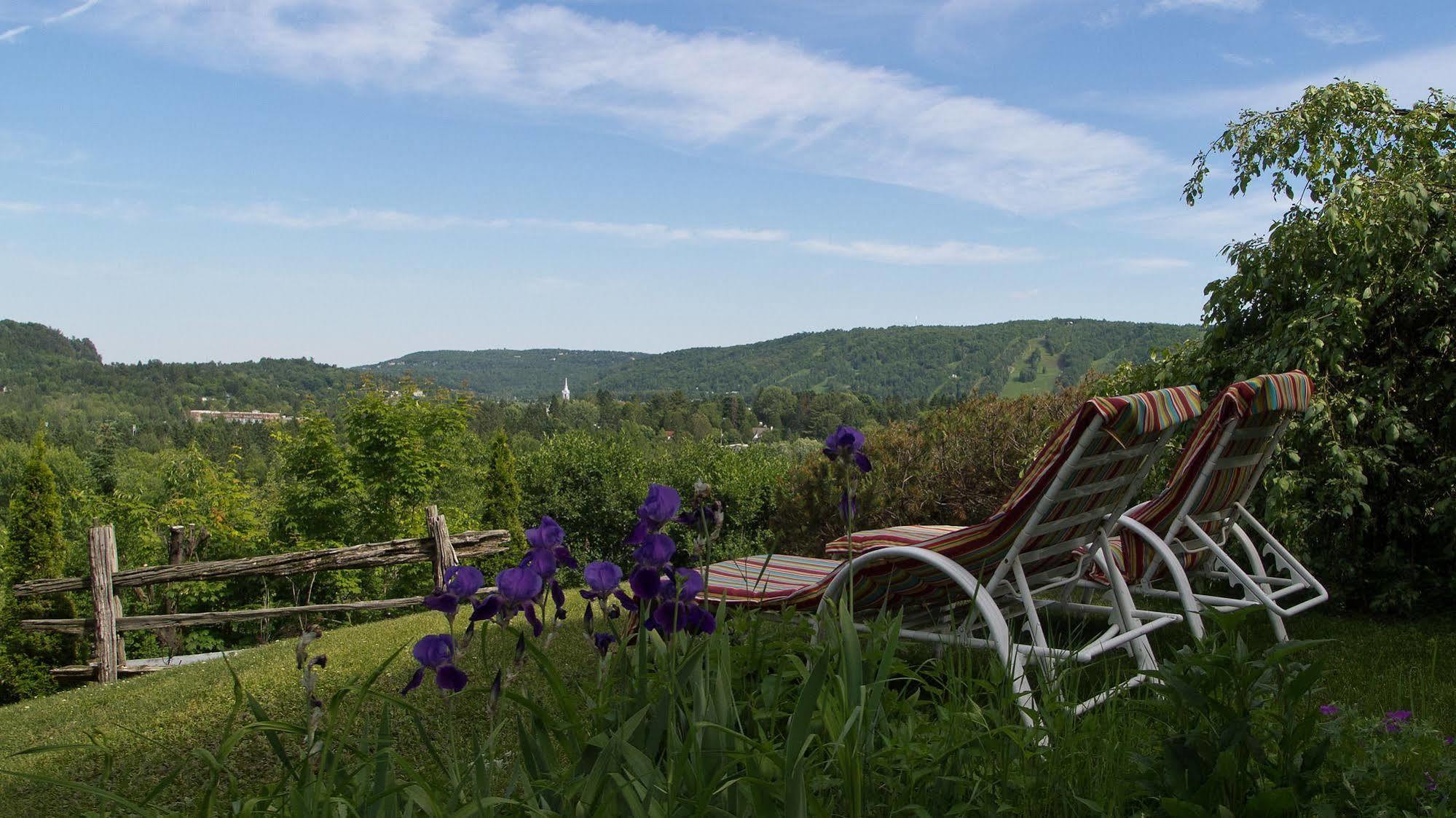 Le Petit Clocher Gite Touristique B & B Saint-Sauveur Exterior photo